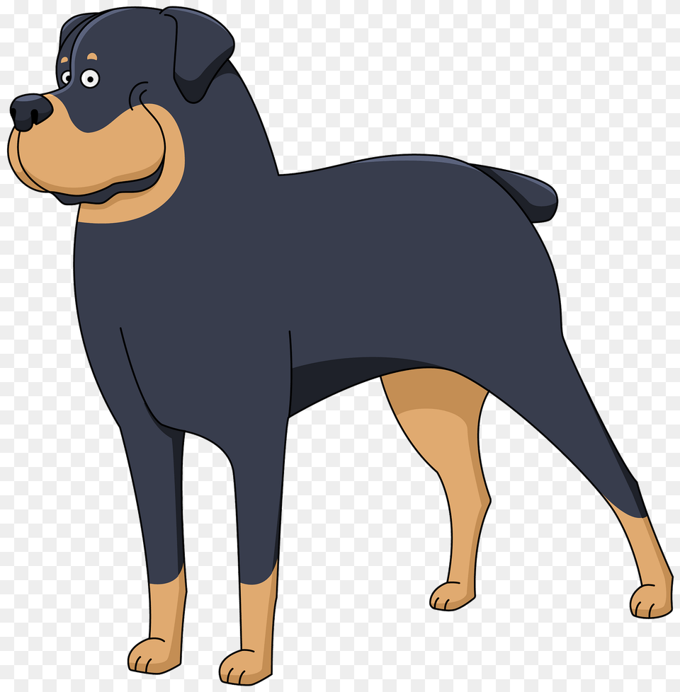 Rottweiler Clipart, Animal, Kangaroo, Mammal, Canine Free Png