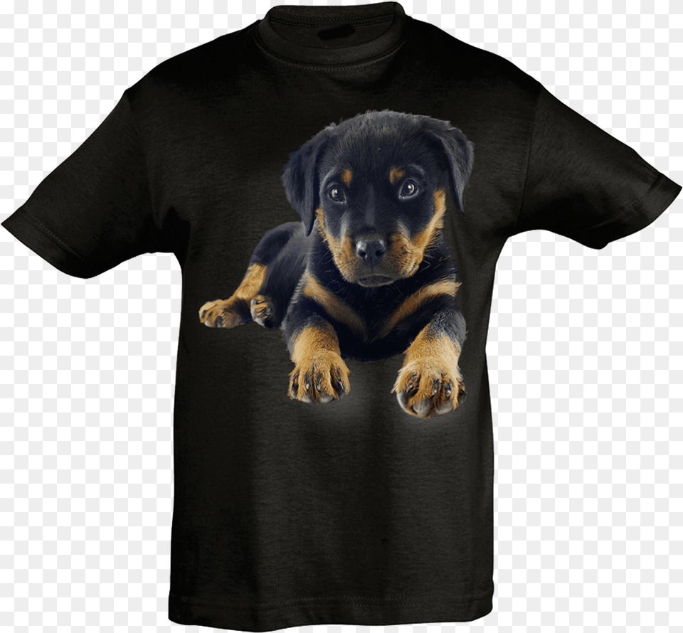 Rottweiler Cub T Shirt Kids T Shirt, Animal, Canine, Clothing, Dog Free Png Download