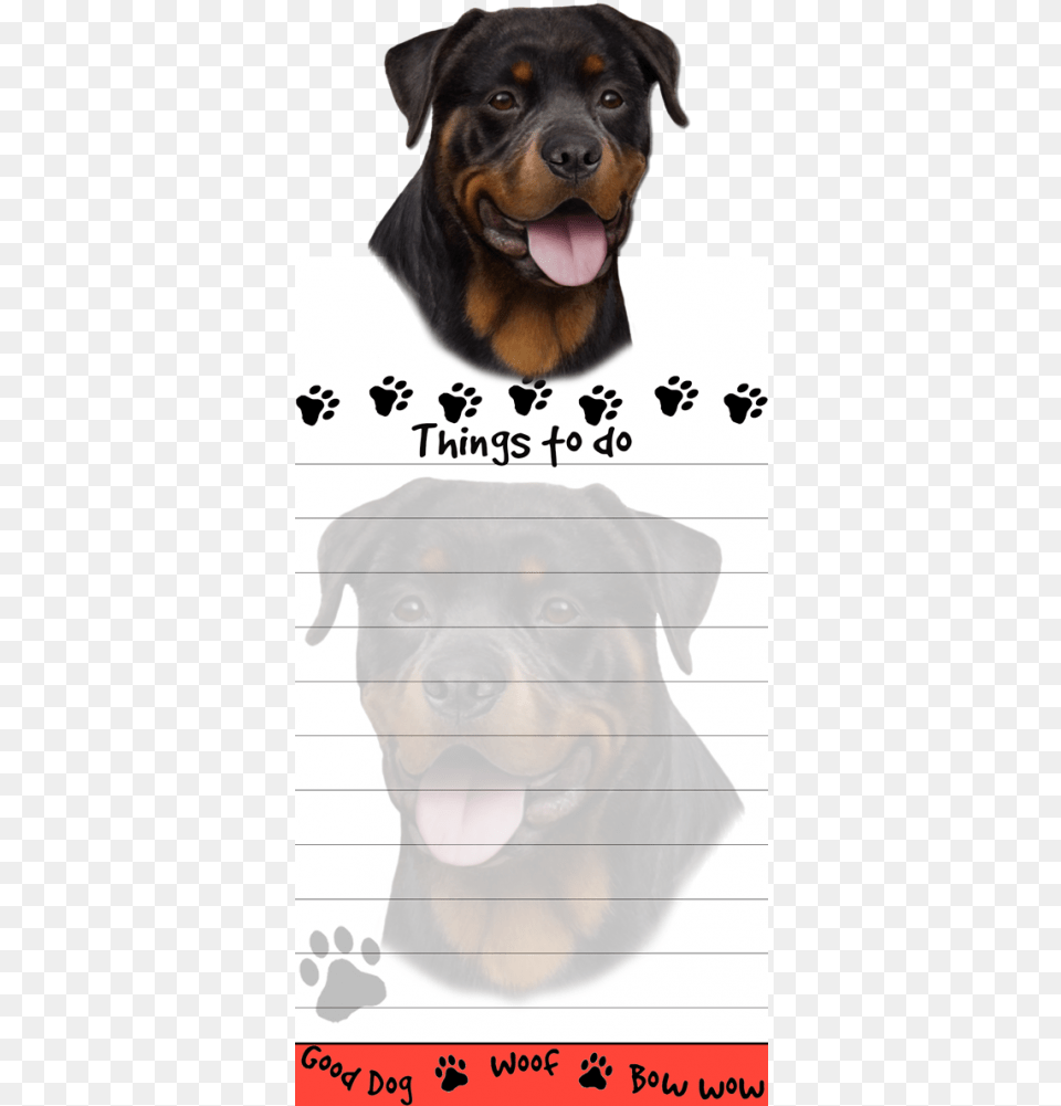 Rottweiler Dog, Animal, Pet, Mammal, Canine Png