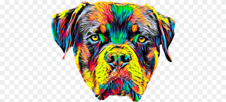 Rottweiler Dog Breed Head Pet Portrait Duvet Cover Boxer, Animal, Mammal, Tiger, Wildlife Free Transparent Png