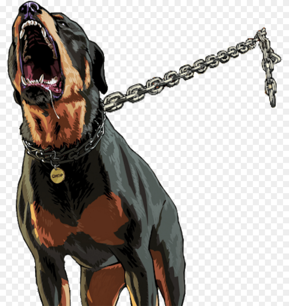 Rottweiler Dog Co Chains Correntes Lucianoballack Grand Theft Auto V, Accessories, Man, Male, Person Free Png