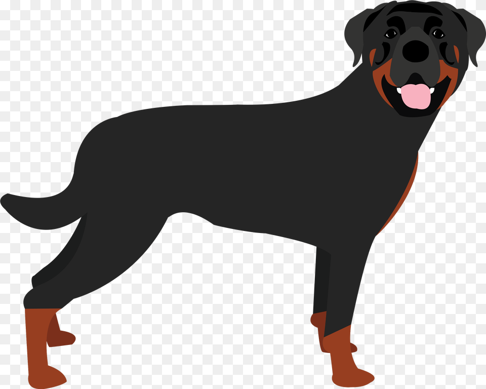 Rottweiler Dogs In The News Rottweiler Clipart, Animal, Canine, Dog, Labrador Retriever Free Png