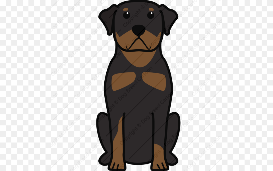 Rottweiler Download Cartoon Dog Design Rottweiler, Animal, Bear, Mammal, Wildlife Free Png