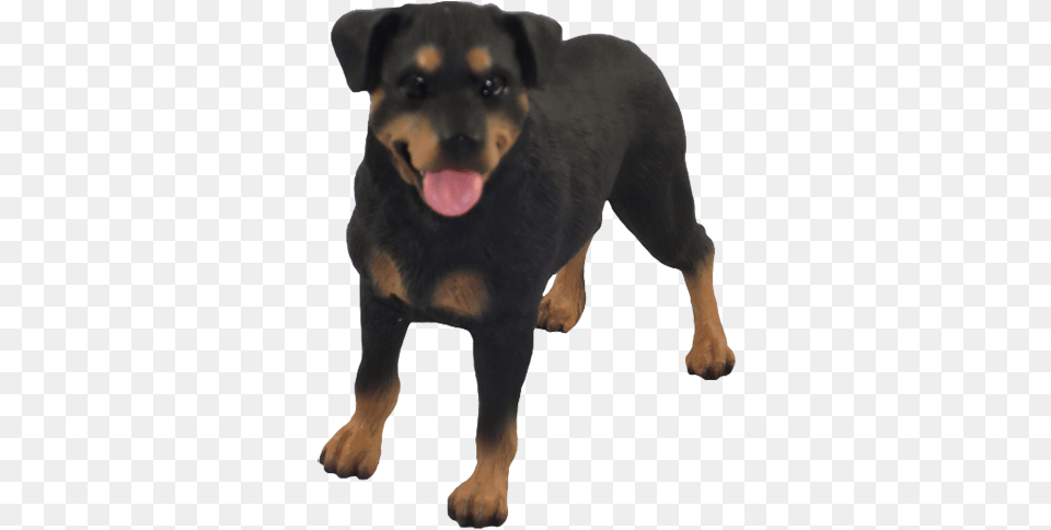 Rottweiler Gifts For Rottie Lovers Transylvanian Hound, Animal, Canine, Dog, Mammal Free Png