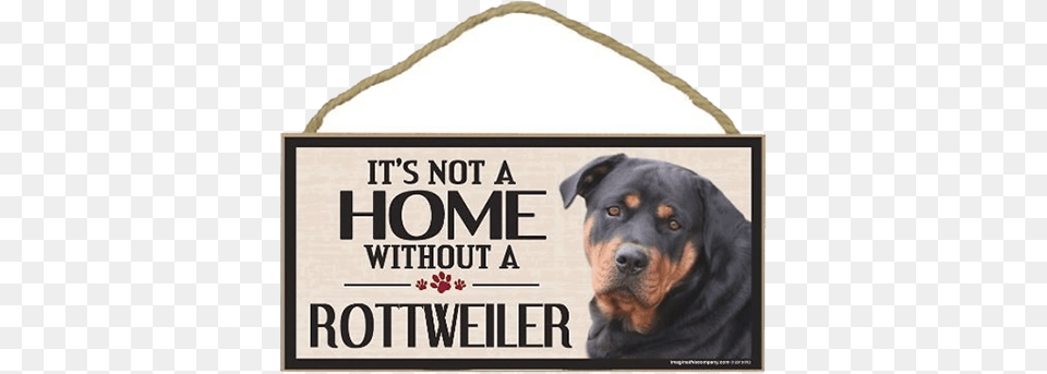 Rottweiler Gifts It39s A Cane Corso, Animal, Canine, Dog, Mammal Png