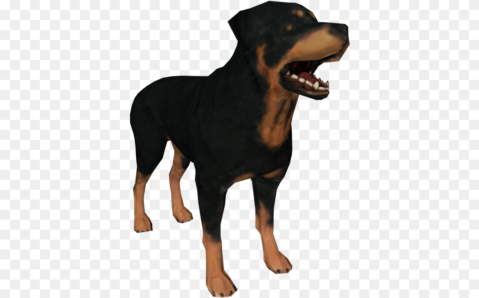 Rottweiler Puppy Dog Breed Snout Dog Yawns, Adult, Male, Man, Person Free Png