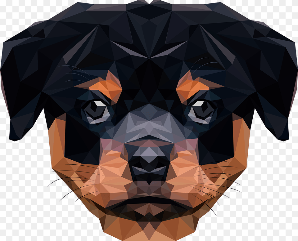 Rottweiler Puppy Low Poly Origami, Snout, Photography, Person, Face Free Png Download