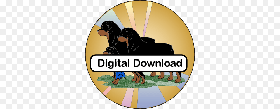 Rottweiler Shop, Animal, Canine, Disk, Dog Png