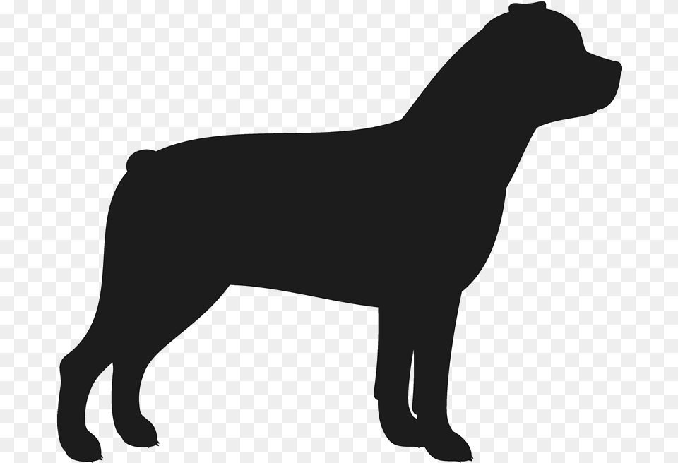 Rottweiler Stamp Dog Cat Amp Fur Baby Stamps Silhouette Of Cocker Spaniel, Animal, Canine, Mammal, Pet Png Image