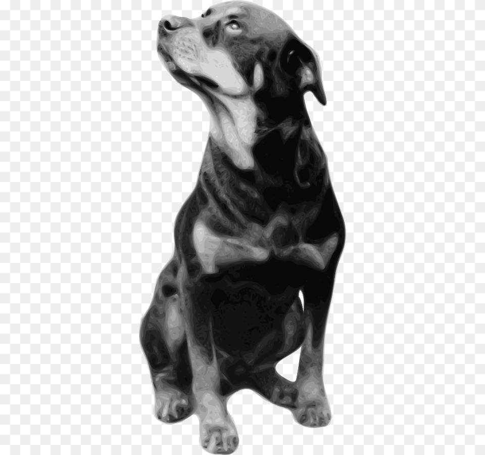 Rottweiler Svg Clip Arts Dogs Rottweiler Black And White, Animal, Canine, Dog, Mammal Png Image
