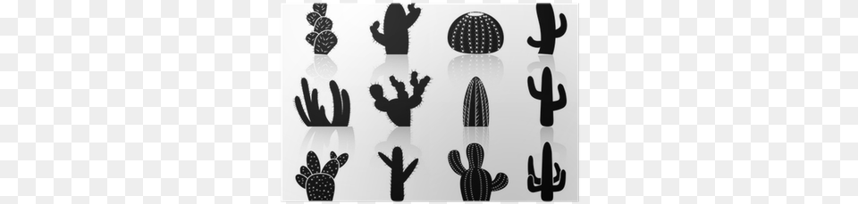 Round Cactus Silhouette, Plant, Person, Adult, Male Png