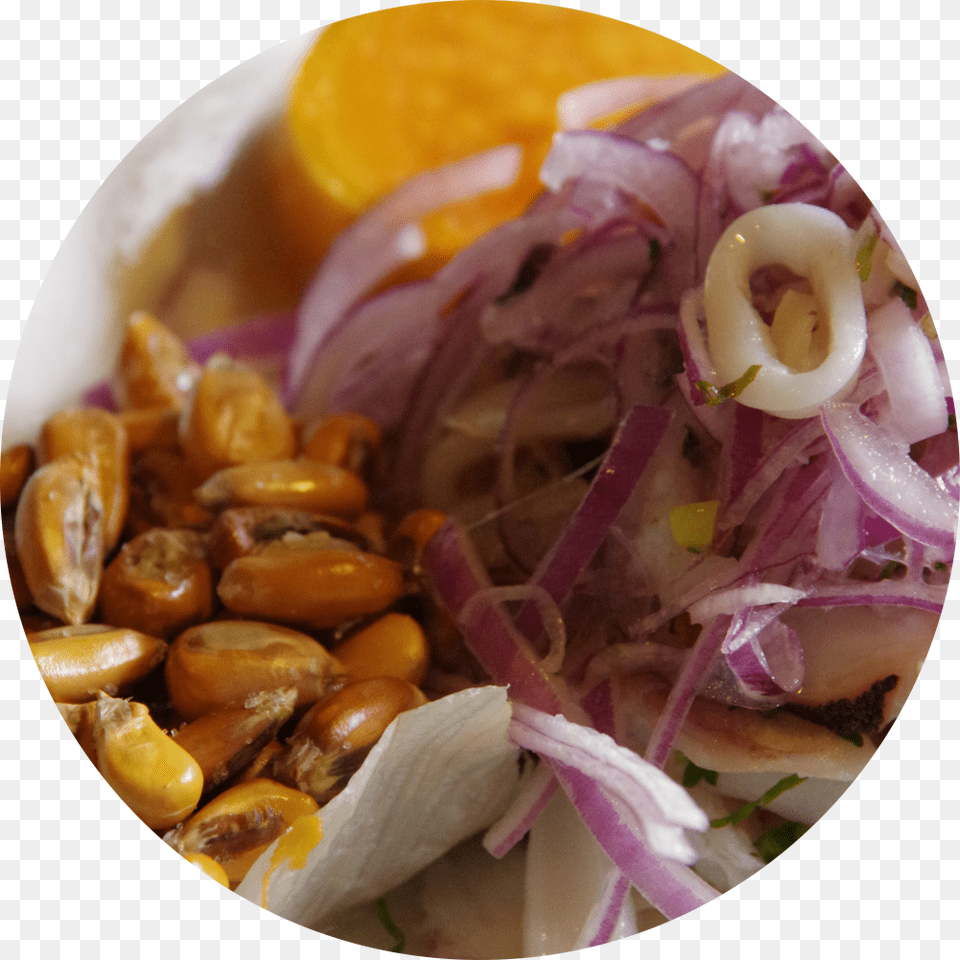 Round Ceviche Web Red Onion, Food, Produce, Plate Png