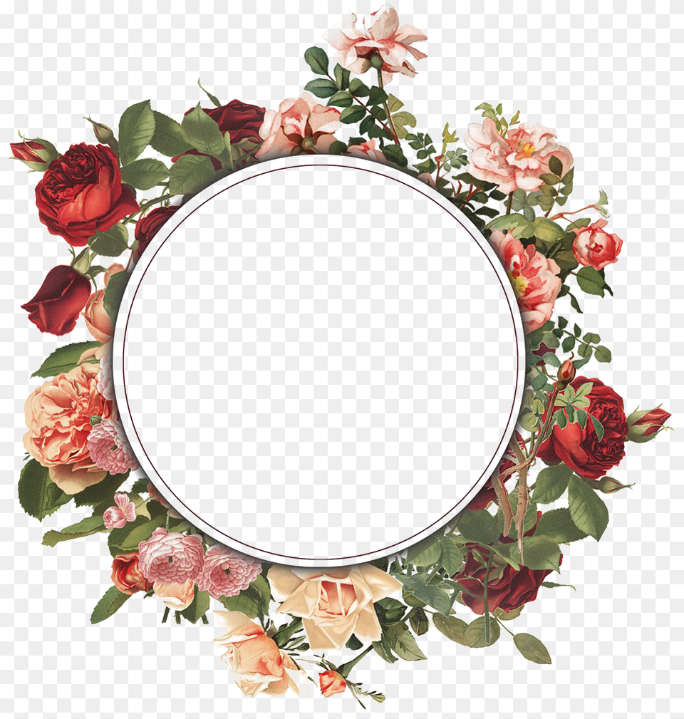 Round Floral Frame Clipart Round Floral Frame, Rose, Plant, Flower, Photography Free Png Download