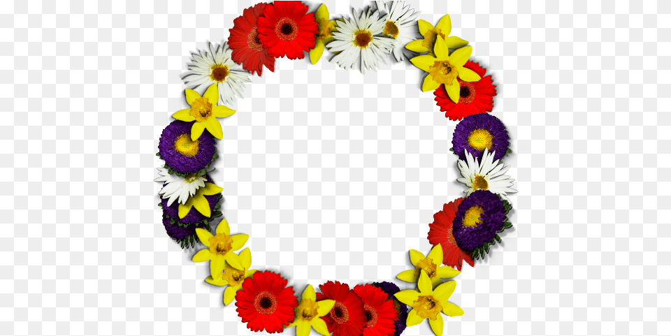 Round Flower Frame Img, Daisy, Flower Arrangement, Plant, Accessories Free Png