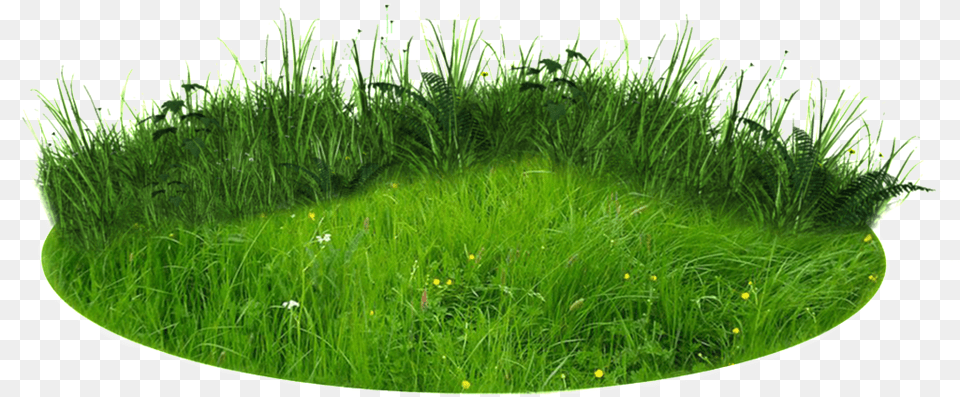 Round Lawn Transparent, Field, Plant, Outdoors, Nature Free Png
