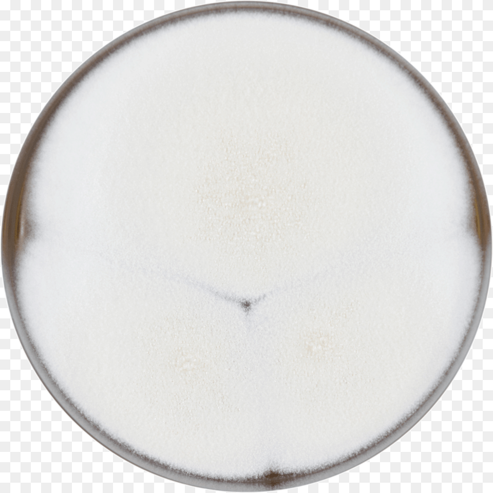 Round Plate Free Transparent Png