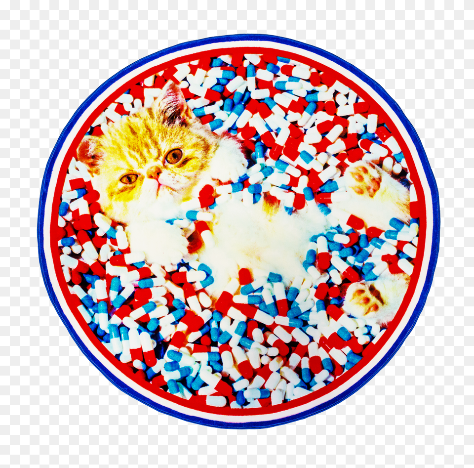 Round Rug Cat 0 Toiletpapier Seletti Plate, Animal, Mammal, Pet, Sprinkles Png