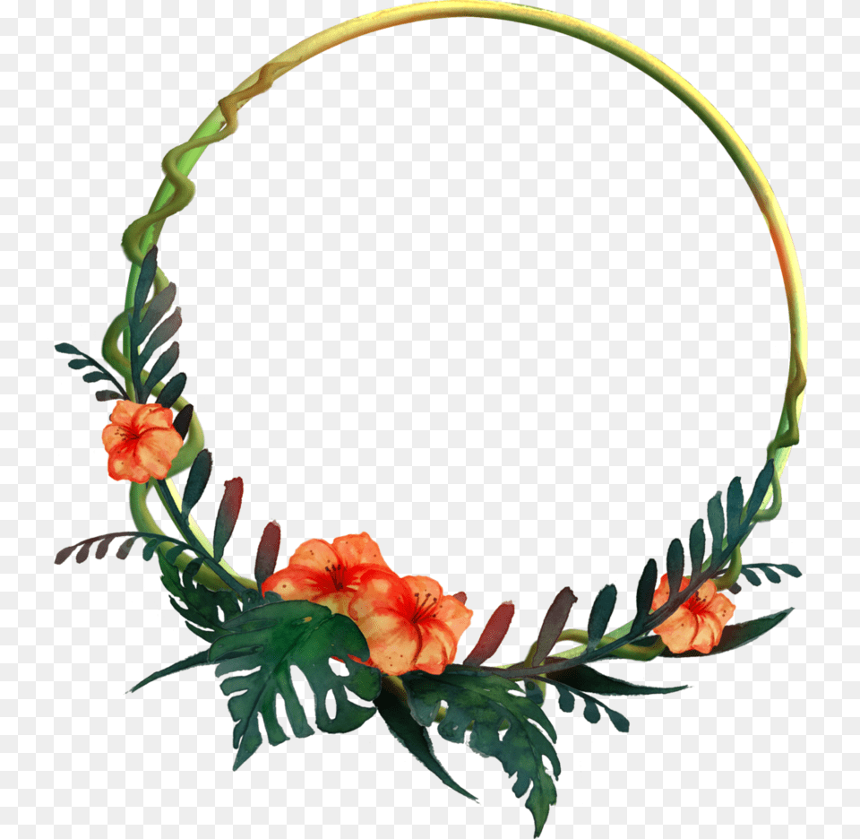 Round Tropical Frame, Flower, Plant, Flower Arrangement, Accessories Free Transparent Png
