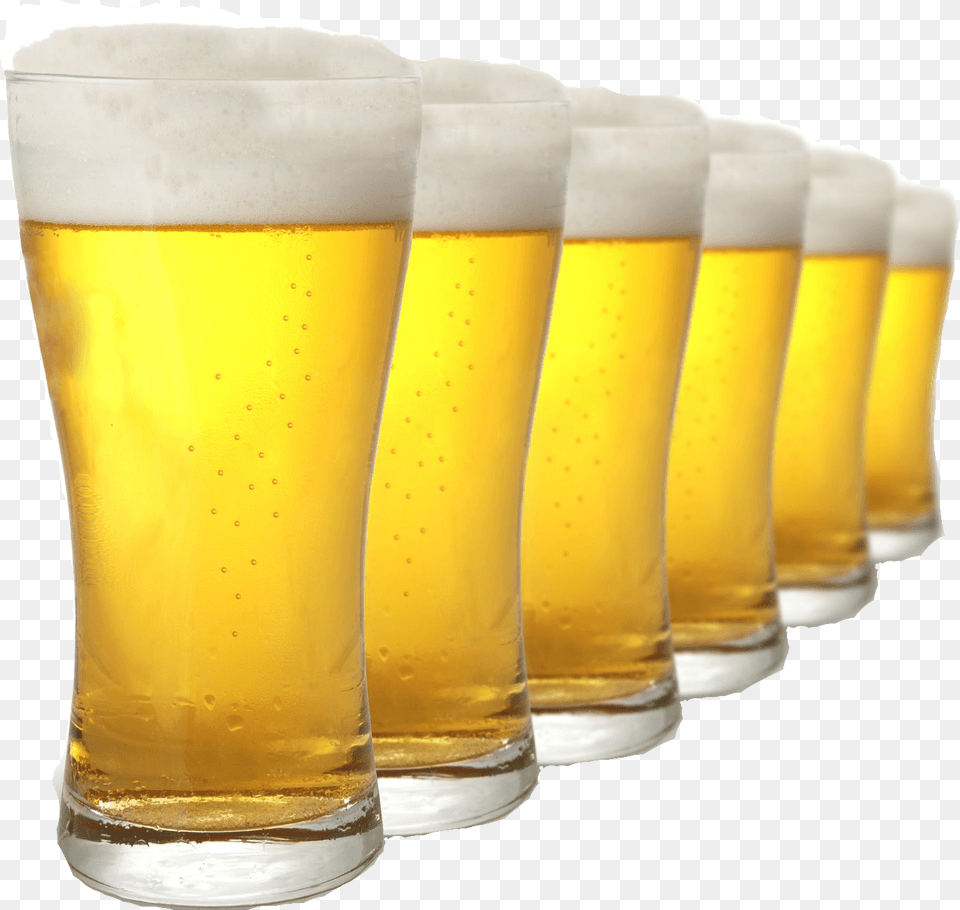 Row Of Pints Beer 4 Pints Of Lager, Alcohol, Beer Glass, Beverage, Glass Free Png Download