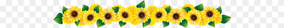 Row Of Sunflowers Clipart, Flower, Plant, Sunflower Free Transparent Png