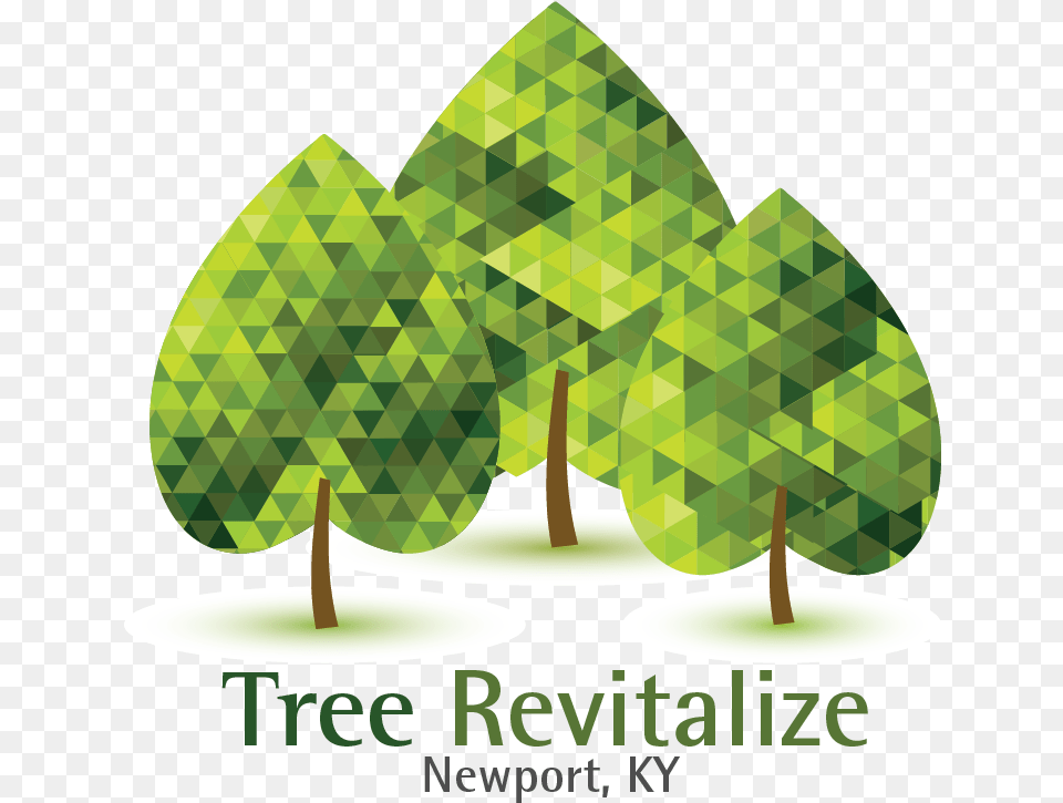 Row Of Trees, Green, Plant, Vegetation, Person Png Image