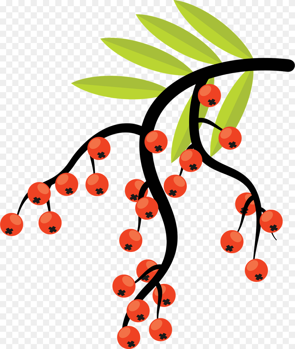 Rowan Branch Clipart, Produce, Plant, Food, Fruit Png