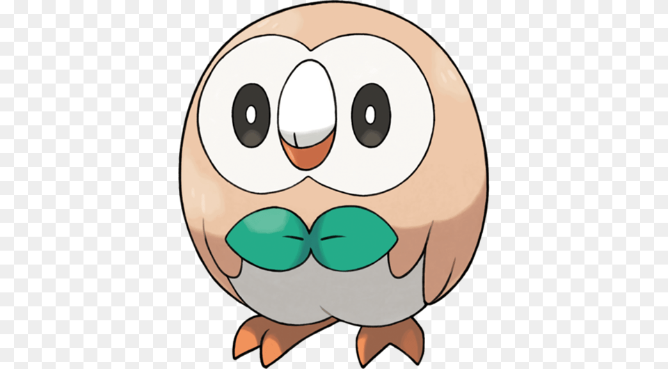 Rowlet, Animal, Bear, Giant Panda, Mammal Free Transparent Png