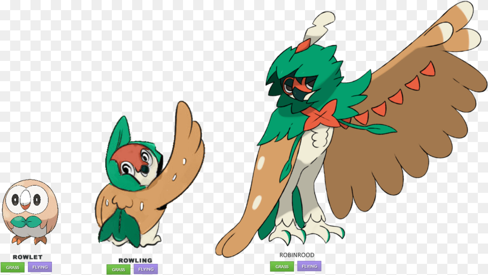 Rowlet Fan Evolution By Diegopegaso87 Gen 8 Pokemon Final Evolution Pokemon Rowlet, Person, Baby, Face, Head Png