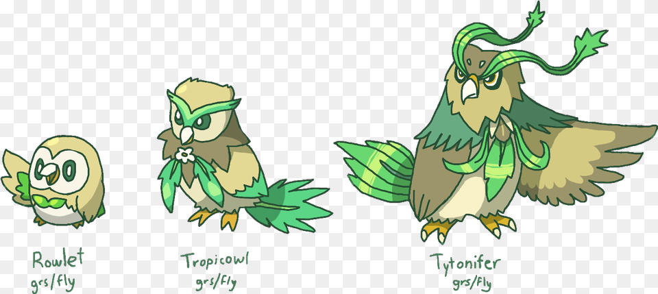 Rowlet Tropicowl Tytonifer Decidueye Owl, Animal, Bird, Person, Face Free Png Download