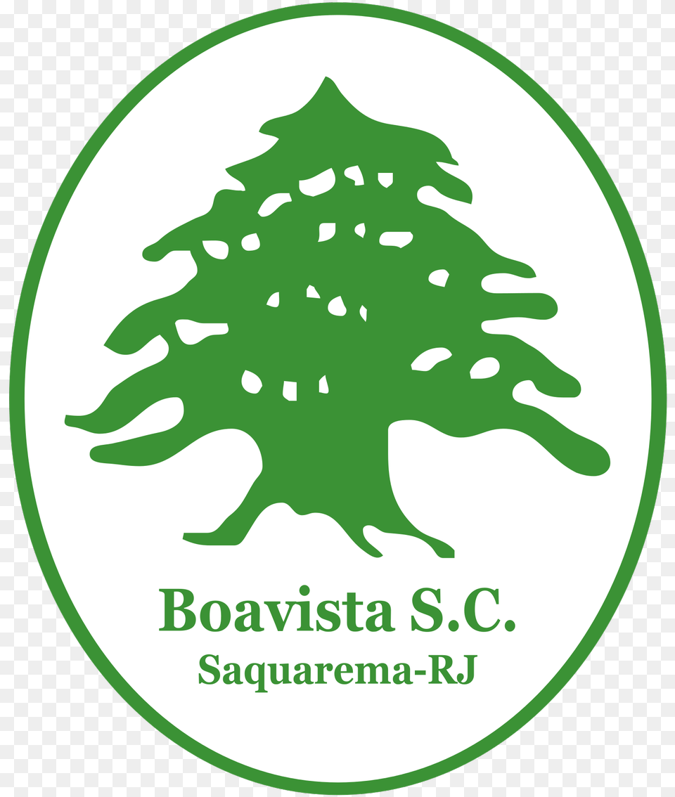 Roy Nemer On Twitter Boavista Sport Club, Logo, Green, Plant, Tree Free Transparent Png