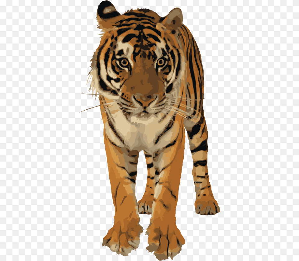 Royal Bengal Tiger, Animal, Mammal, Wildlife, Zebra Free Transparent Png
