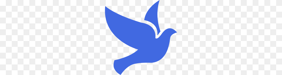 Royal Blue Bird Icon Png