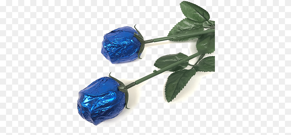 Royal Blue Foiled Belgian Chocolate Color Splash Roses Transparent Roses Royal Blue, Leaf, Plant, Smoke Pipe, Food Free Png Download
