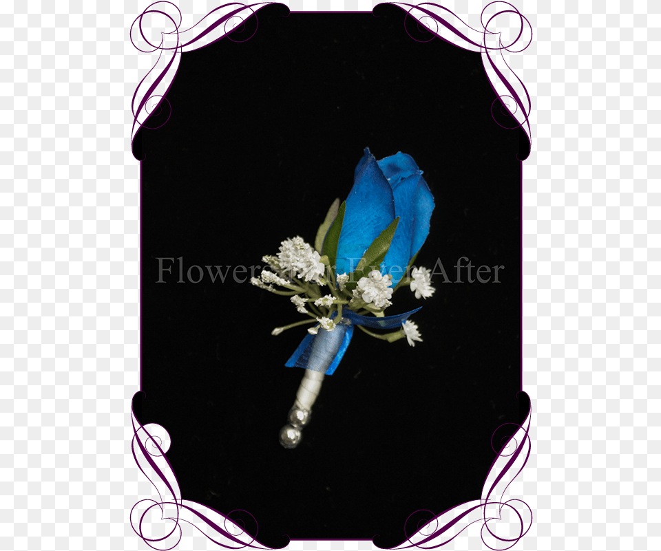 Royal Blue Roses Gallery Groom Wedding Boutonniere Paper Flower, Flower Arrangement, Flower Bouquet, Plant, Person Free Png Download