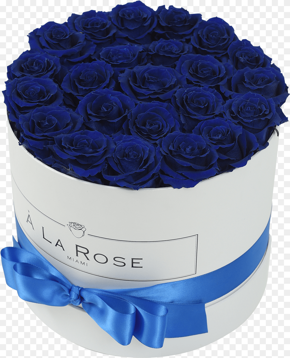 Royal Blue Roses In A Boxclass Lazyload Lazyload, Rose, Plant, Flower Bouquet, Flower Arrangement Png