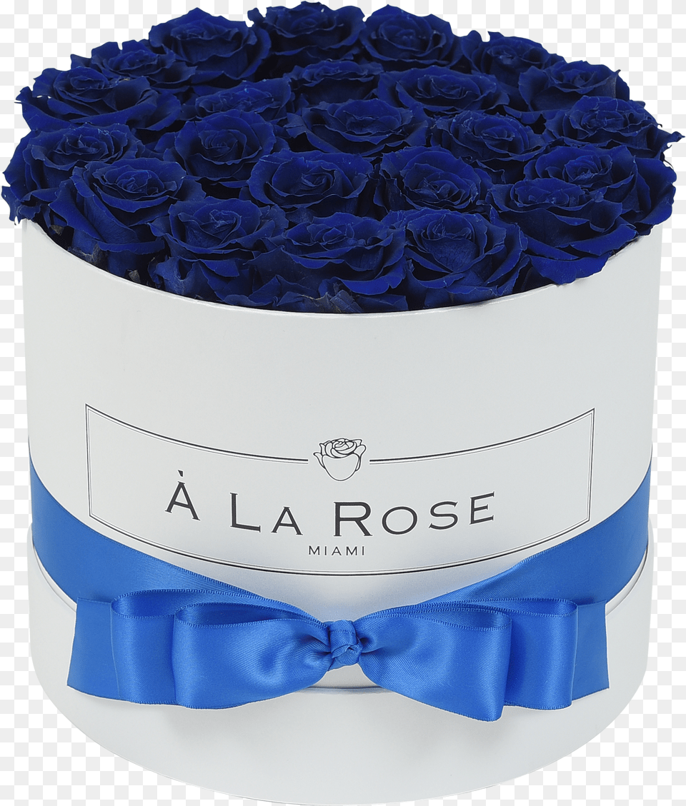 Royal Blue Roses Rose, Plant, Flower, Cream, Dessert Free Png Download