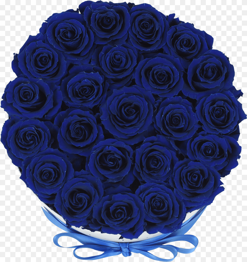 Royal Blue Royal Blue Roses, Flower, Flower Arrangement, Flower Bouquet, Plant Free Png
