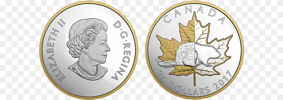 Royal Canadian Mint Coin News Canada Coin New, Money, Baby, Person, Accessories Free Png