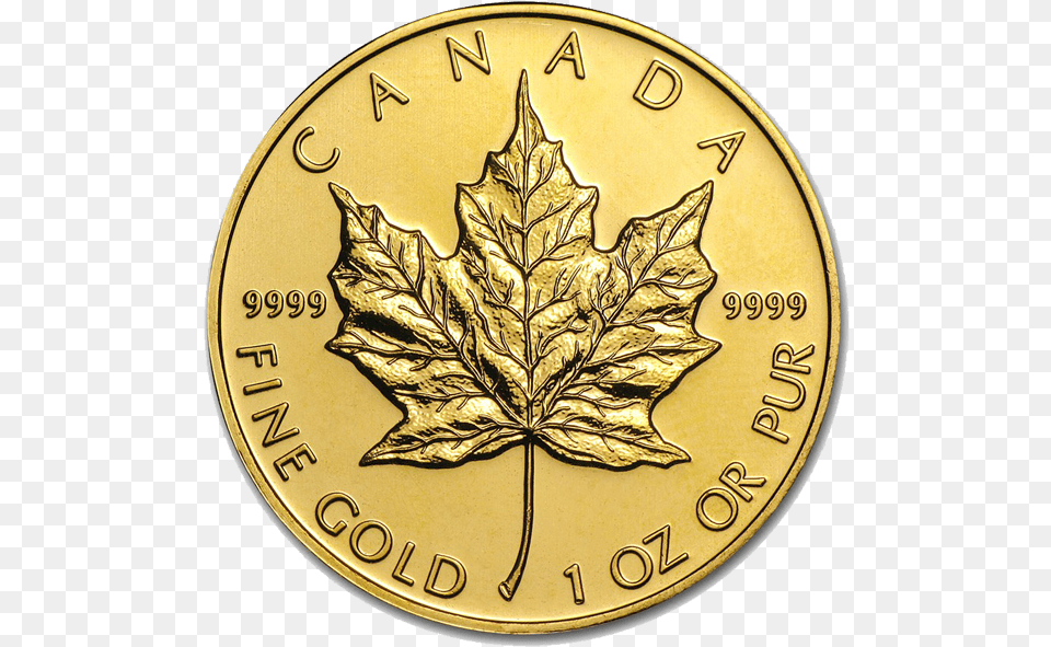 Royal Canadian Mint Gold Maple Leaf Canadian Maple Leaf Gold Coin, Plant Png