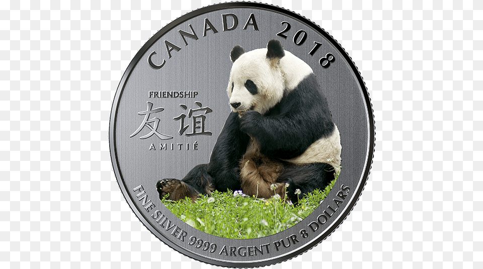 Royal Canadian Mint Panda Coin, Animal, Bear, Giant Panda, Mammal Png Image