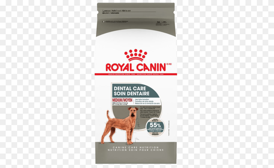 Royal Canin Dental Food For Dogs, Advertisement, Poster, Animal, Canine Free Png Download