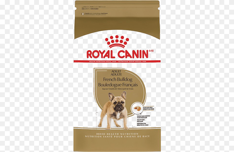 Royal Canin Golden Retriever Adult, Advertisement, Poster, Animal, Canine Free Transparent Png