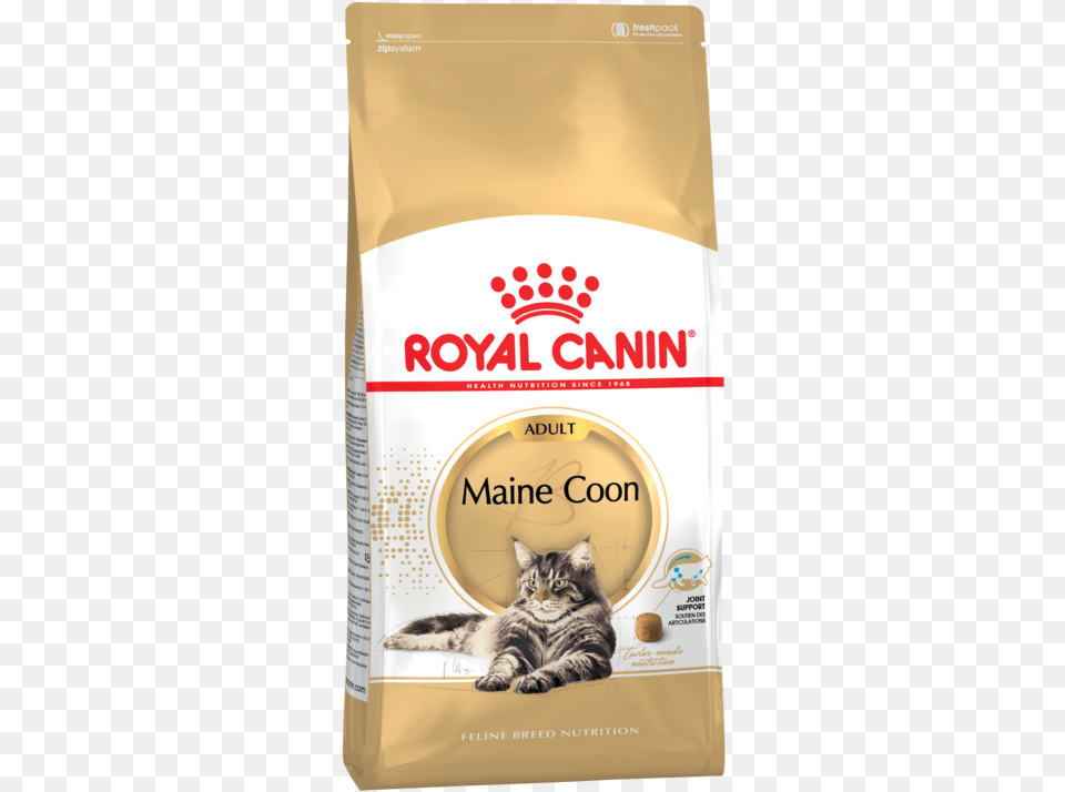 Royal Canin Maine Coon, Animal, Cat, Mammal, Pet Free Transparent Png