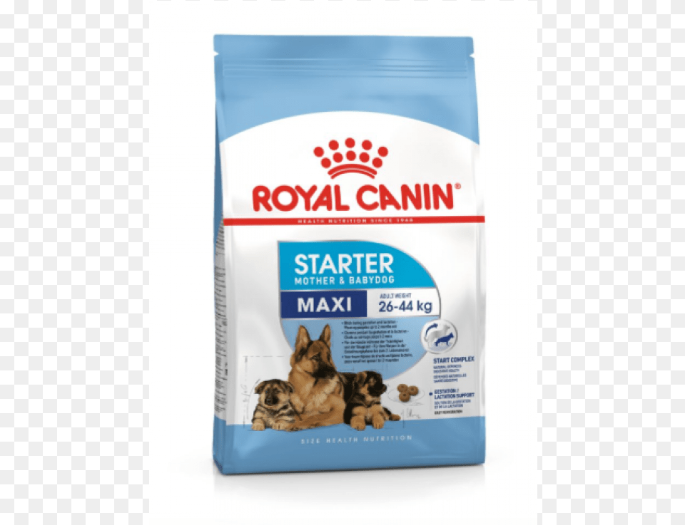 Royal Canin Maxi Starter New Pack Of Maxi Starter, Animal, Canine, Dog, German Shepherd Png Image