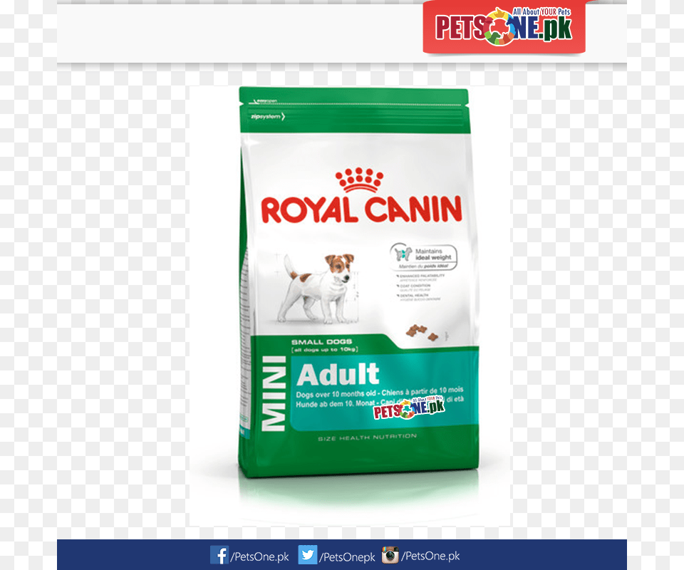 Royal Canin Mini Adult In Pakistan, Animal, Canine, Dog, Mammal Png Image
