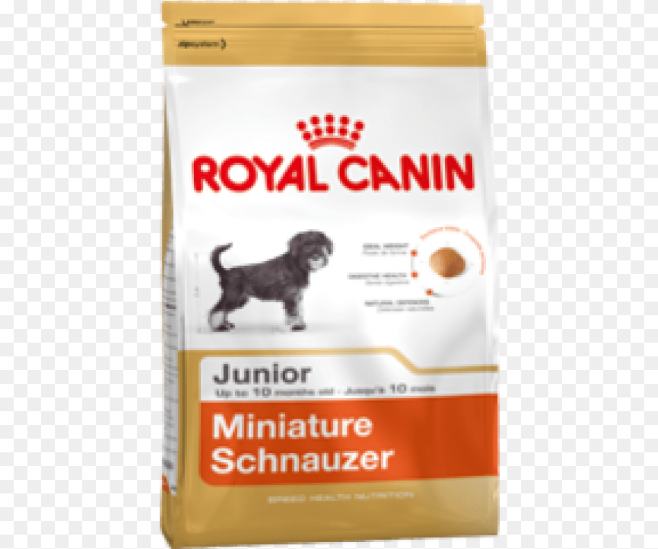 Royal Canin Miniature Schnauzer Junior Royal Canin Schnauzer, Animal, Canine, Dog, Mammal Png
