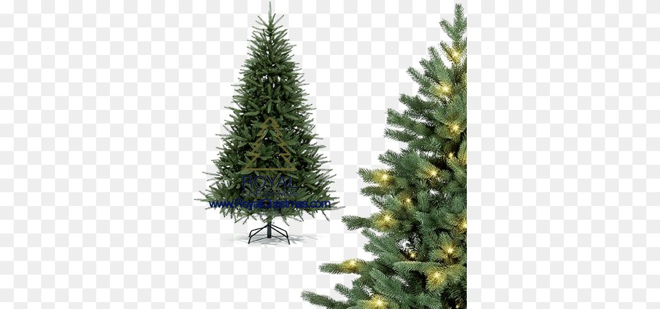 Royal Christmas Premium Line Artificial Christmas Trees, Pine, Plant, Tree, Christmas Decorations Free Png Download