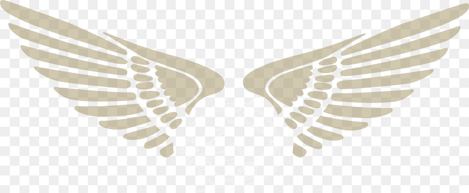 Royal Enfield Wings Logo, Emblem, Symbol, Animal, Fish Png