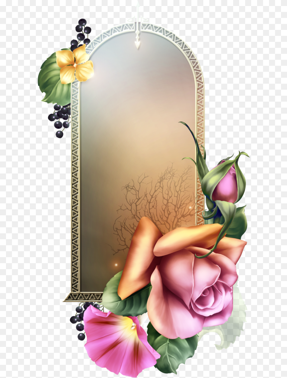 Royal Frame, Rose, Plant, Flower, Petal Png Image