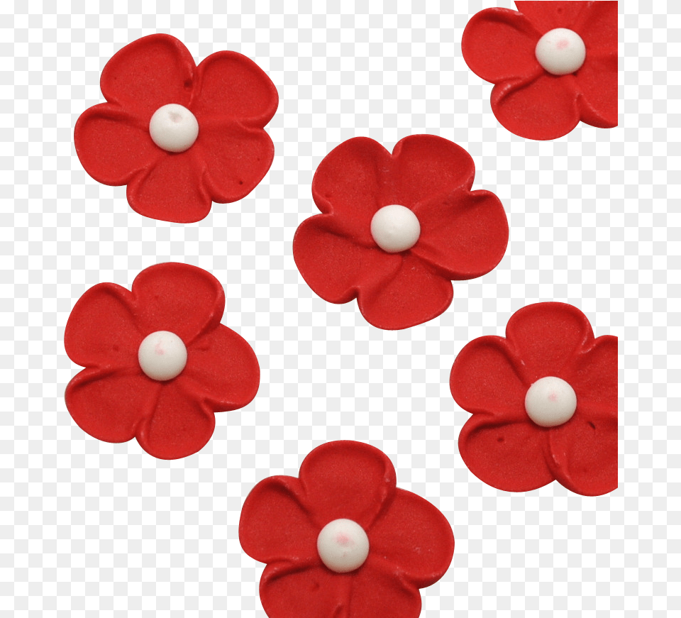 Royal Icing Blossom Royal Icing, Accessories, Cream, Dessert, Earring Png